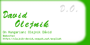 david olejnik business card